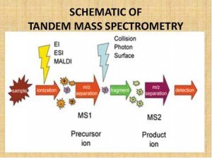 Tandem Mass Spectrometry