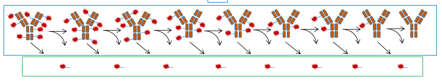 ADCs vary in the number of small molecular chemotherapy drugs conjugated to the monoclonal antibody.
