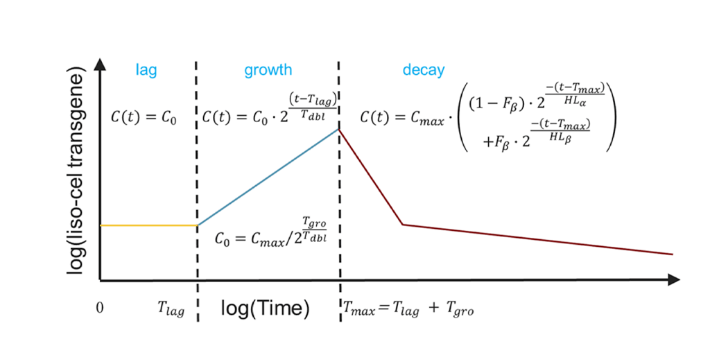 cellular kinetic model