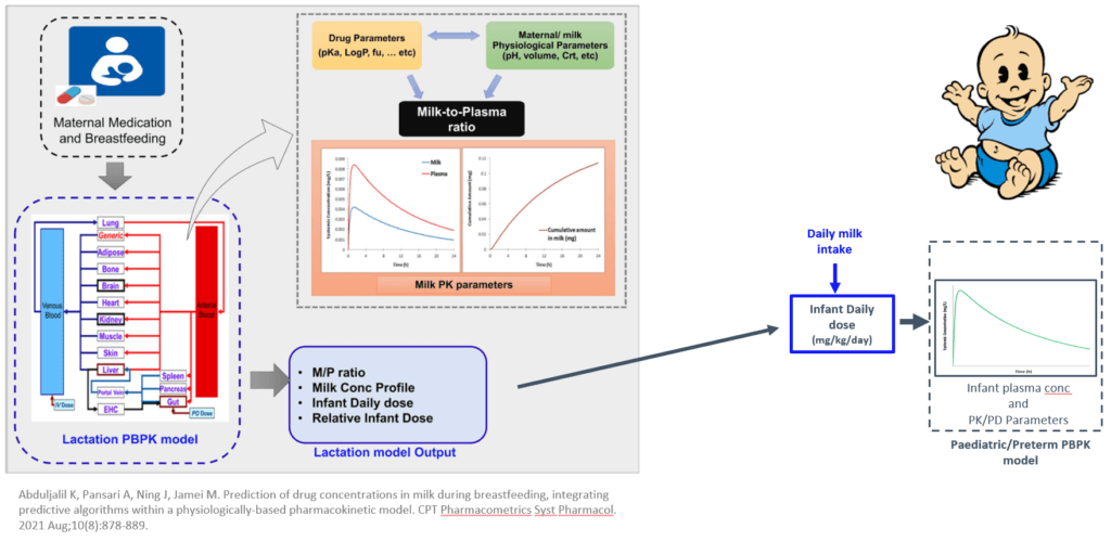 Alt text: The lactation PBPK model uses information about the maternal medication and breastfeeding to predict the relative infant dose based on daily milk intake. The model can account for both full term and premature infants.