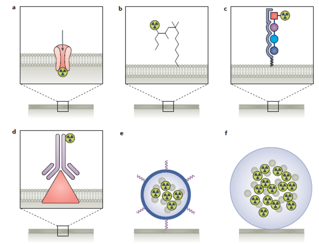 schematic showing different types of therapeutic radioligands including direct radionuclides and targeted moieties