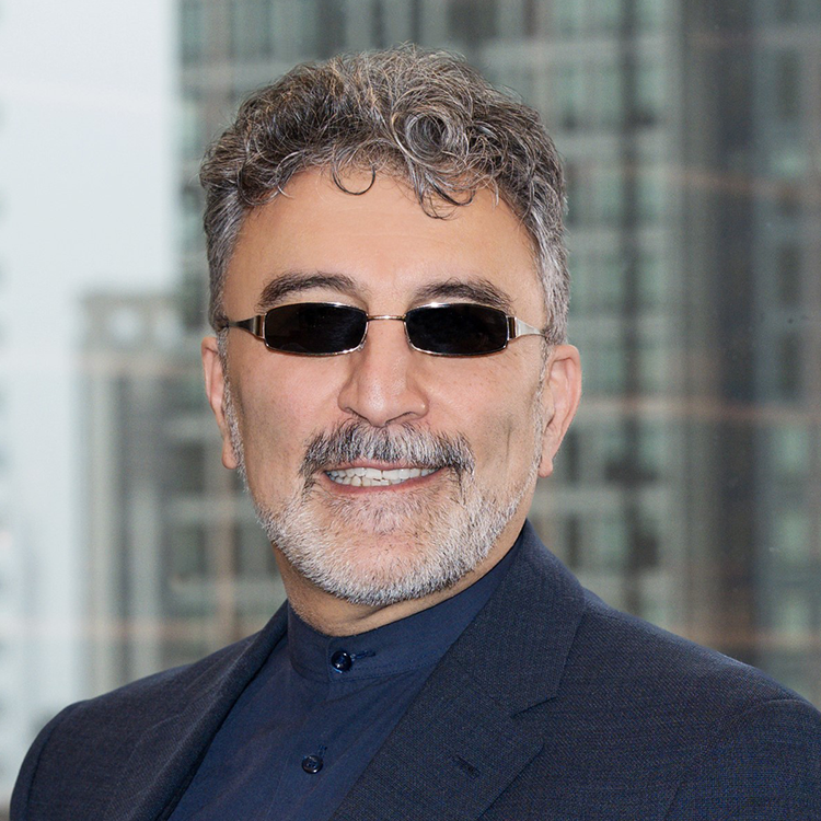 Amin Rostami-Hodjegan, PhD, FCP, FAAPS, FJSSX, FBPS