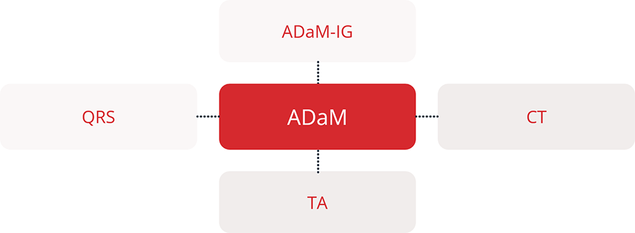 example of the different types of CDISC ADaM-related content that contribute to a final ADaM submission.