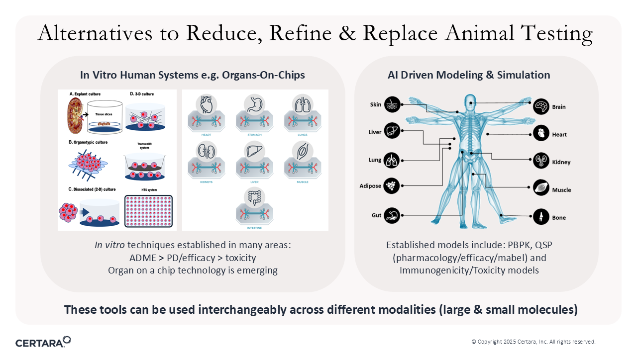 Infographic titled 'Alternatives to Reduce, Refine & Replace Animal Testing,' showcasing two approaches: 'In Vitro Human Systems' and 'AI Driven Modeling & Simulation.' The left section highlights organ-on-chip technology with labeled components (human cells, engineered surfaces, dynamic fluid flow, biomarker profile, genomic & PK/PD) and mentions its applications in ADME, pharmacodynamics/efficacy, and toxicity studies. The right section features a human anatomical diagram with labeled body parts (skin, liver, lung, etc.) connected to established AI models like PBPK, QSP, and immunogenicity/toxicity models. Footer notes indicate these tools are versatile for large and small molecules. Visuals include scientific diagrams, anatomical illustrations, and process arrows. Copyright 2025 Certara, Inc.