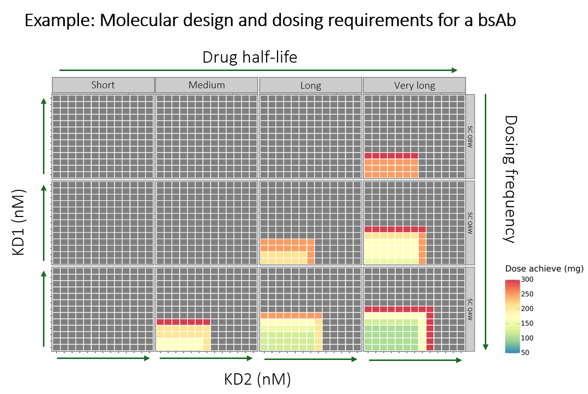 Heatmap of molecular design and dosing requirements for a bispecific antibody (bsAb)