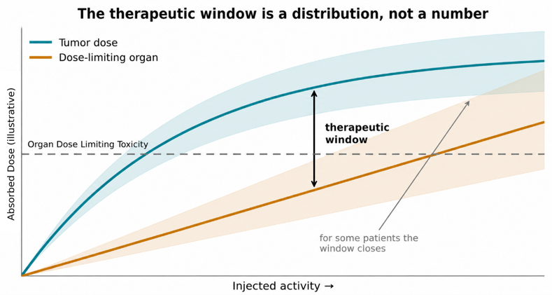 Graph illustrating that the therapeutic window is a distribution, not a fixed number, showing how tumor dose and dose-limiting organ absorption curves diverge with increasing injected activity, with shaded bands indicating patient variability and the window closing for some patients at higher doses.
