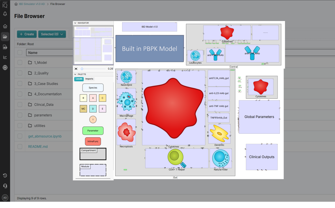 IBD Simulator's QSP model diagram showing gut and central compartments, immune cells, cytokines, and monoclonal antibody modules for IBD drug development